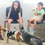 3d2bfa85 ae8a 44a4 95a1 f69ccff93808