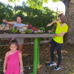 8e2870ef cca2 4aaa 94fd 1df6a3a16bc1