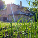 HUERTO ECOLOGICO ARANSBUR 3