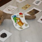 Primera semana de campamentos