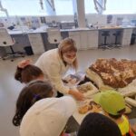 Área de restauración