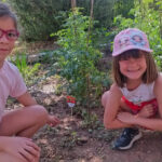 WhatsApp Image 2023 07 21 at 10.40.32