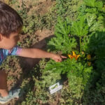 WhatsApp Image 2023 07 21 at 10.41.05