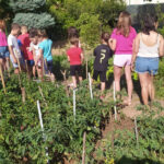 WhatsApp Image 2023 07 21 at 10.41.06