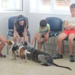 c028c6d2 7f61 4f77 85a3 88abcd600dae