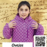 Ovejas