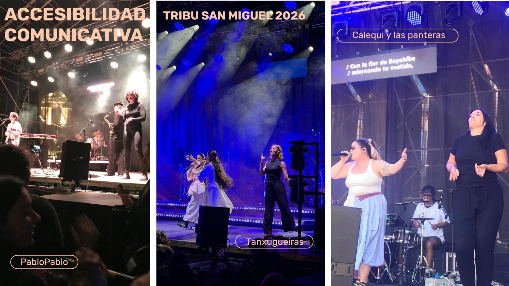 cONCIERTOS RESUMEN TRIBU web ARANSBUR